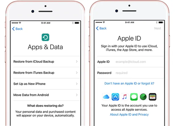 Wiederherstellen aus iCloud-Backup