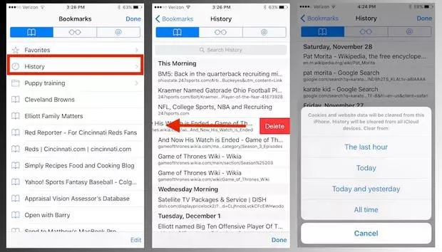 delete browsing history on iPhone