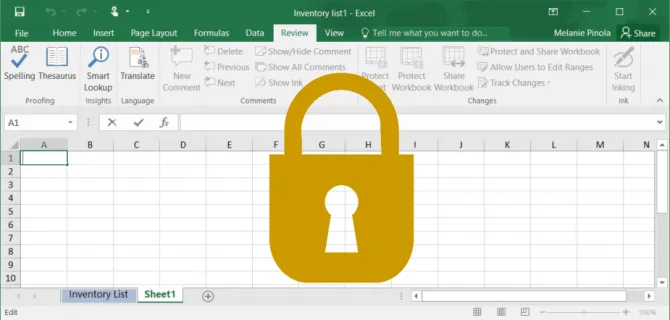 Add Password to Excel